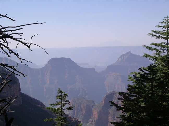 images/Hiking North Rim- Widforss Trail.jpg